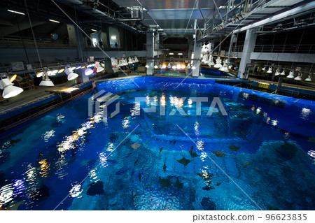 Top of the water tank in aquarium Top of the water tank in aquarium 96623835