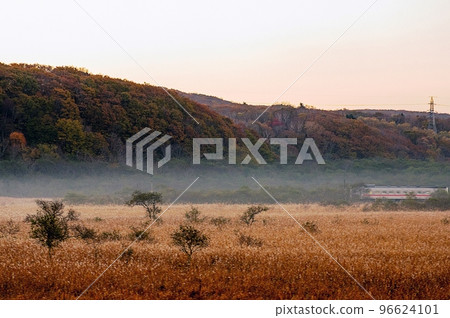 Autumn in the wetlands, running in the morning mist 96624101
