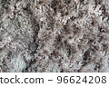 Carpet texture. Close up Macro shot of Rustic wool Grunge fabric texture and background. Gray carpet material abstract background. 96624208