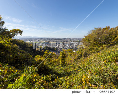 從山頂俯瞰城市 96624402