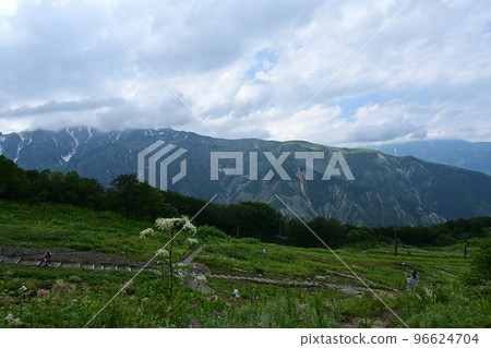 Chubu Sangaku National Park Hakuba Daisetsukei Ushirotateyama Mountain Range Tsugaike 96624704