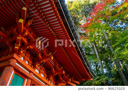 Iwafune Temple in autumn 96625020