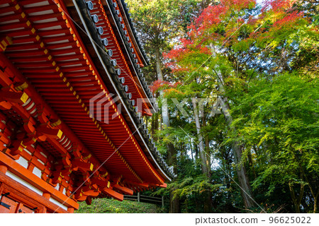 Iwafune Temple in autumn Iwafune Temple in autumn 96625022