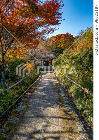 Joruriji Temple in autumn colors Joruriji Temple in autumn colors 96625197