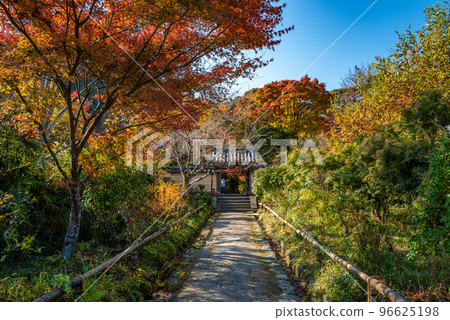Joruriji Temple in autumn colors Joruriji Temple in autumn colors 96625198