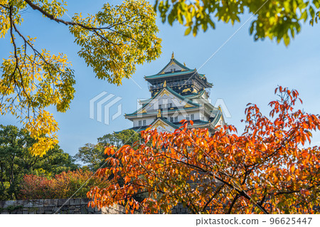 [Autumn leaves] Osaka Castle Park in autumn [Osaka Castle Tower] 96625447