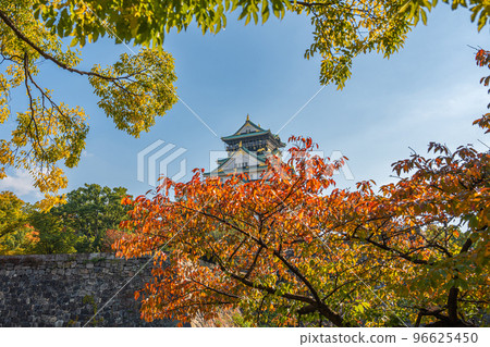 [紅葉]秋天的大阪城公園[大阪城天守閣] 96625450