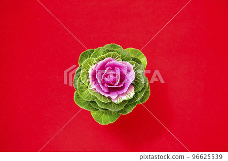Leaf peony 96625539