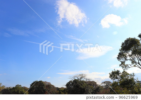 藍天、雲彩、樹木、尾跡 藍天、雲彩、樹木、尾跡 96625969