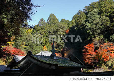 Romantic Ibaraki (A small autumn has come to the precincts of an old temple again this year.) Seionji, Shirosato Town Romantic Ibaraki (A small autumn has come to the precincts of an old temple again this year.) Seionji, Shirosato Town 96626781