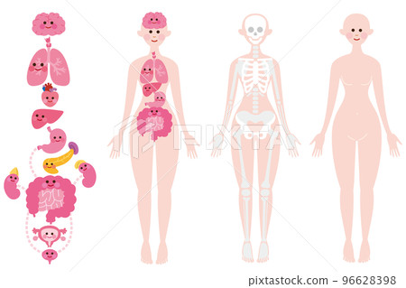 Internal organs, skeleton, body with face Internal organs, skeleton, body with face 96628398