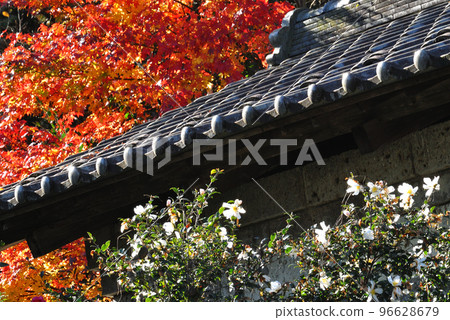 Autumn view 96628679