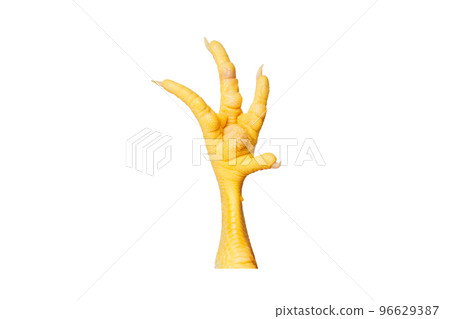 Yellow chicken paw isolated on white 96629387