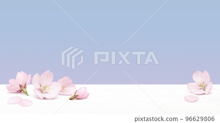 逼真的櫻花插畫 逼真的櫻花插畫 96629806