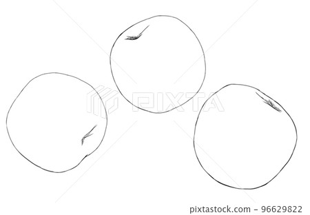 梅花插圖素材 梅花插圖素材 96629822