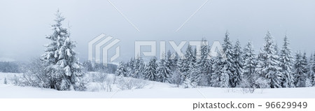 Fantastic winter landscape with snowy trees. Carpathians, Ukraine, Europe 96629949
