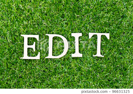 Wood letter in word edit on green grass background 96631325