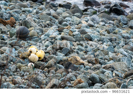 Drifting objects that drifted to the shore Drifting objects that drifted to the shore 96631621