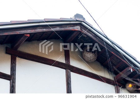 A hornet's nest made in a house A hornet's nest made in a house 96631904