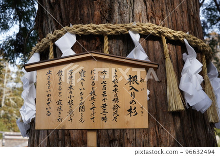 Suwa Taisha Shrine (lower shrine) does not have a main shrine. Instead, in Harumiya, the old Sugi tree is used as a sacred tree. 96632494