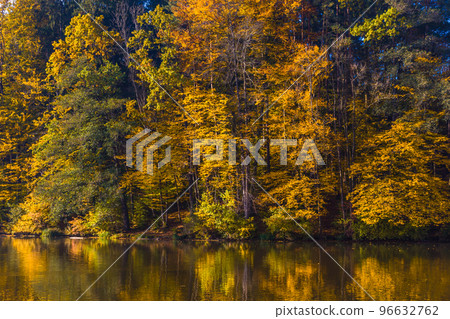 Autumn morning at lake Thal near Graz, Styria region, Austria Autumn morning at lake Thal near Graz, Styria region, Austria 96632762