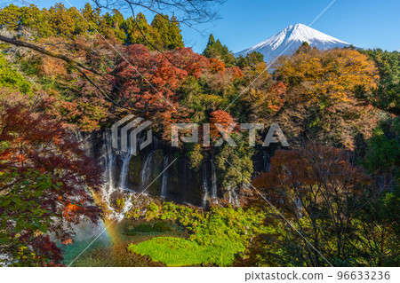 白絲瀑布秋葉和富士山 白絲瀑布秋葉和富士山 96633236
