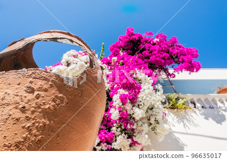 Old jar with pink flowers and white building 96635017
