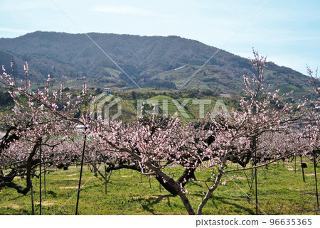 Togenkyo and Ryumonzan Kinokawa City Wakayama Prefecture Togenkyo and Ryumonzan Kinokawa City Wakayama Prefecture 96635365