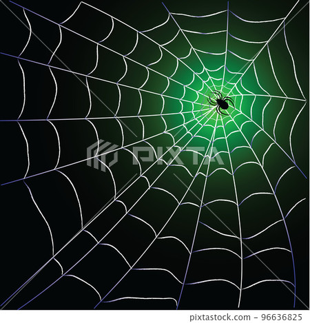 Spider web with spider Spider web with spider 96636825