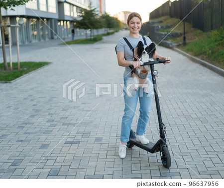 A woman rides an electric scooter with a dog in a backpack. Pappilion Spaniel Continental in a sling. 96637956