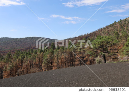 Sunset Volcano near Flagstaff Arizona 96638301