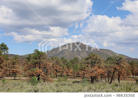 Sunset Volcano near Flagstaff Arizona Sunset Volcano near Flagstaff Arizona 96638308