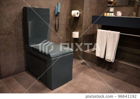 Close up of black flush toilet bowl in lavatory 96641192