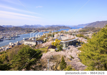 Onomichi in Spring Cherry Blossoms and Onomichi Channel from Senkoji Park Observatory 96641628