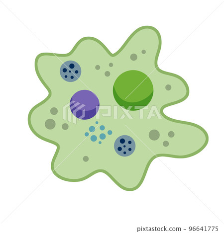 Amoeba cell. Small unicellular animal. Virus and bacteria. Amoeba cell. Small unicellular animal. Virus and bacteria. 96641775