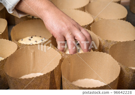 Artisan italian baker putting panettone christmas cake dough into molds. 96642228