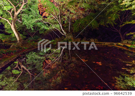 Autumn leaves garden, 30th Garden, Unzen City, Nagasaki Prefecture Autumn leaves garden, 30th Garden, Unzen City, Nagasaki Prefecture 96642539