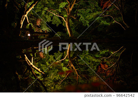 Autumn leaves garden, 30th Garden, Unzen City, Nagasaki Prefecture Autumn leaves garden, 30th Garden, Unzen City, Nagasaki Prefecture 96642542