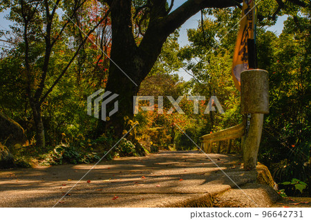 Ayugaeri Falls / Autumn in Minamishimabara Ayugaeri Falls / Autumn in Minamishimabara 96642731