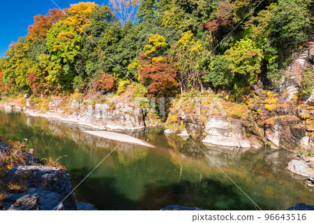 《埼玉縣》秋天的長瀞・紅葉石板路 96643516