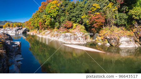 《埼玉縣》秋天的長瀞・紅葉石板路 96643517