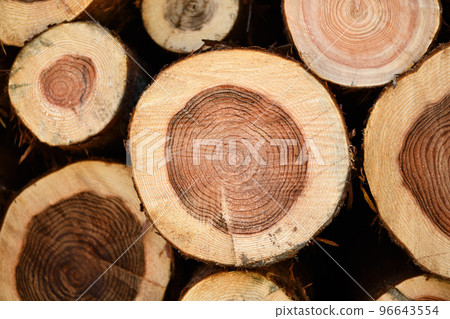 Autumn thinnings and annual rings Autumn thinnings and annual rings 96643554