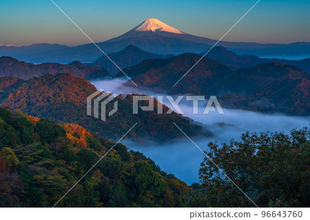 富士山和秋葉在早晨的陽光下 富士山和秋葉在早晨的陽光下 96643760