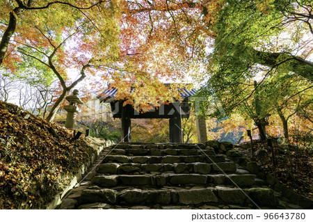 Akizuki Castle Ruins with Beautiful Autumn Leaves (Asakura City, Fukuoka Prefecture) 96643780