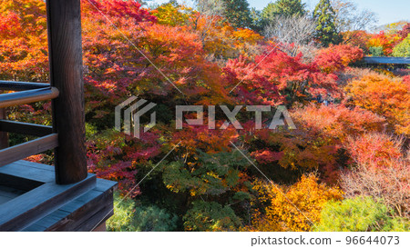 Autumn leaves of Gaunkyo from Tsutenkyo Autumn leaves of Gaunkyo from Tsutenkyo 96644073