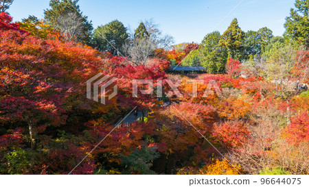 Aoun Bridge and autumn leaves Aoun Bridge and autumn leaves 96644075