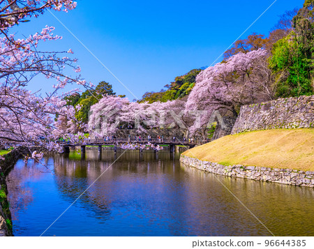 彥根城 Otemon 橋和內護城河在盛春 96644385