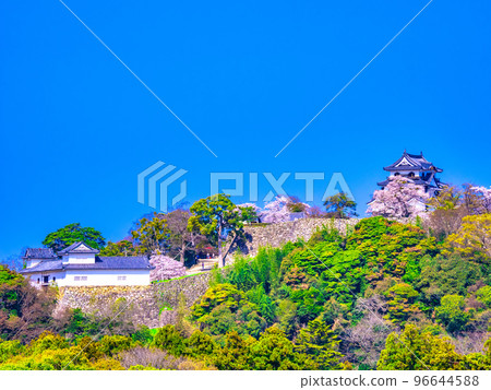 Hikone Castle in spring Hikone Castle in spring 96644588