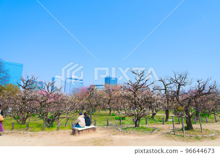 [Osaka Prefecture] March, Osaka Castle Park and high-rise buildings in the business park 96644673