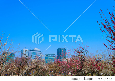 [Osaka Prefecture] March, Osaka Castle Park and high-rise buildings in the business park 96644682